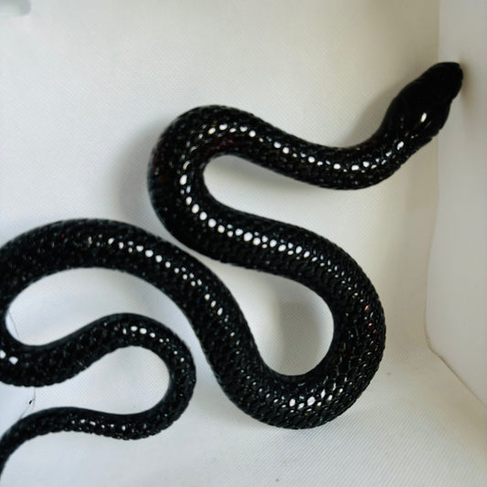 Black Orgonite Snake