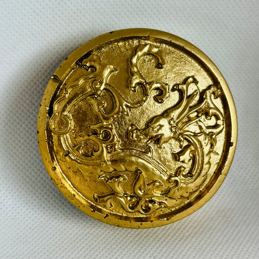 Orgonite Dragon Coin